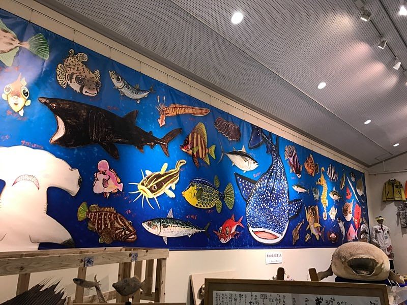 壁いっぱいに房総の海の魚たちが描かれています。