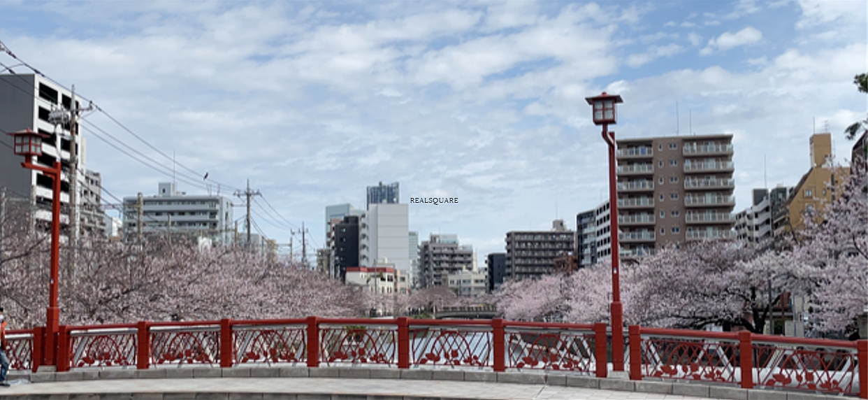 2022年3月27日の大岡川の桜