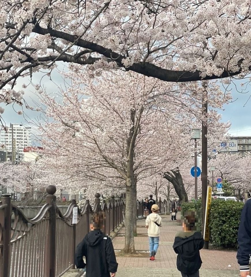 満開に近い桜