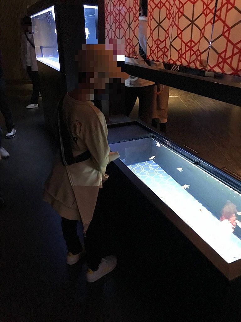 水族館では日本最大級の金魚展示エリア
