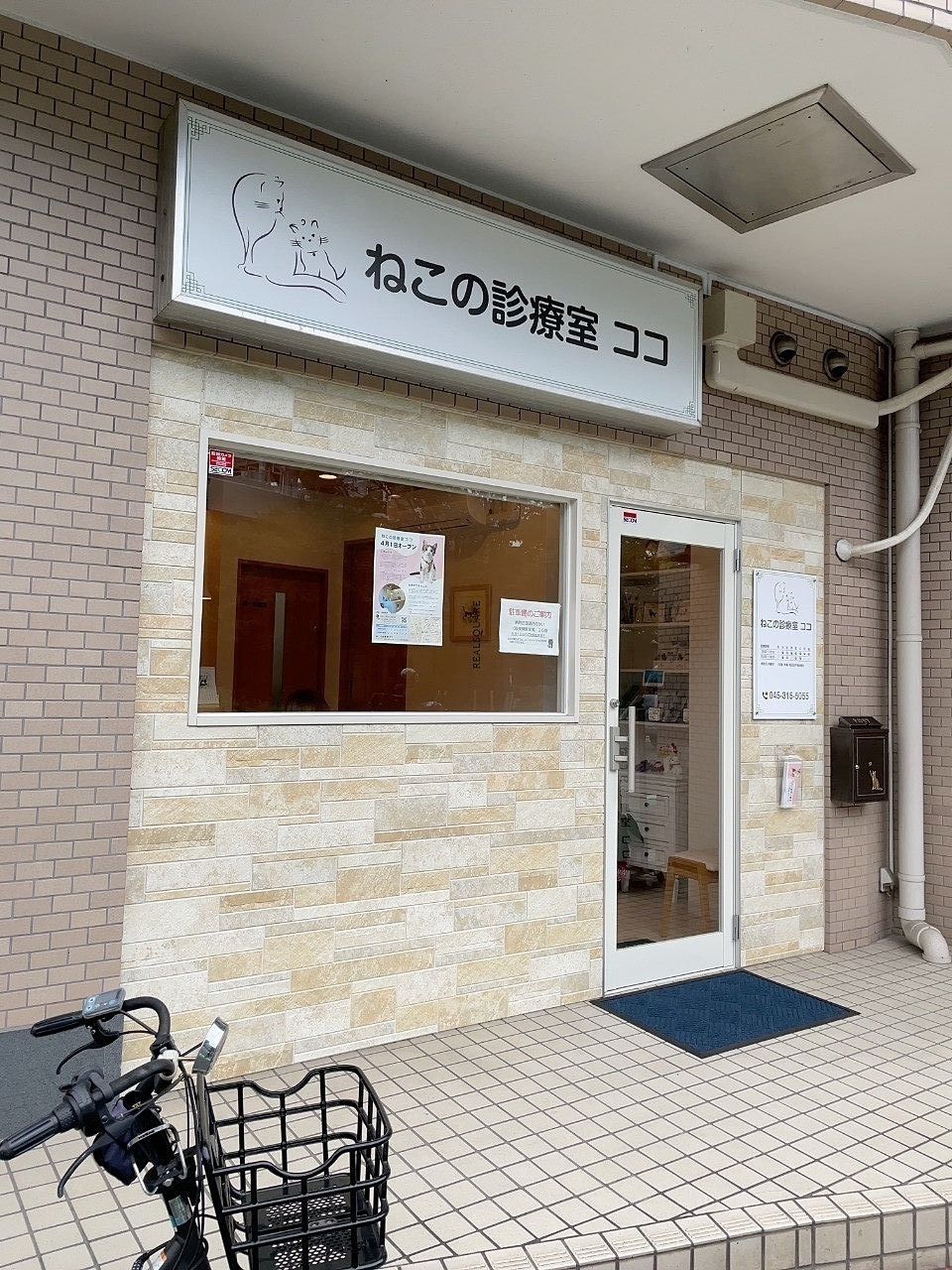 横浜市南区 猫専門の動物病院「ねこの診療室ココ」