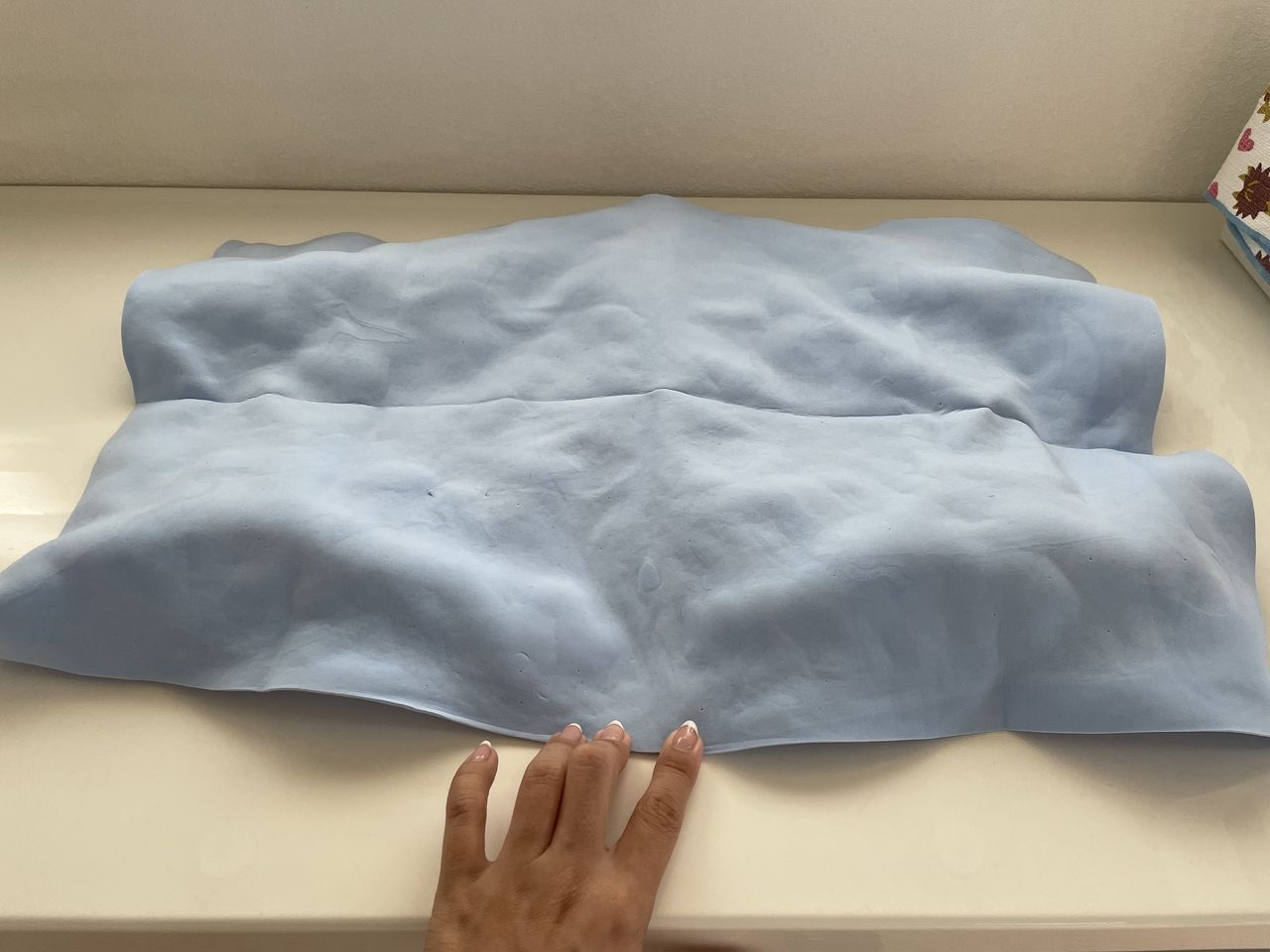 アイリスオーヤマの超吸水ペット用タオル