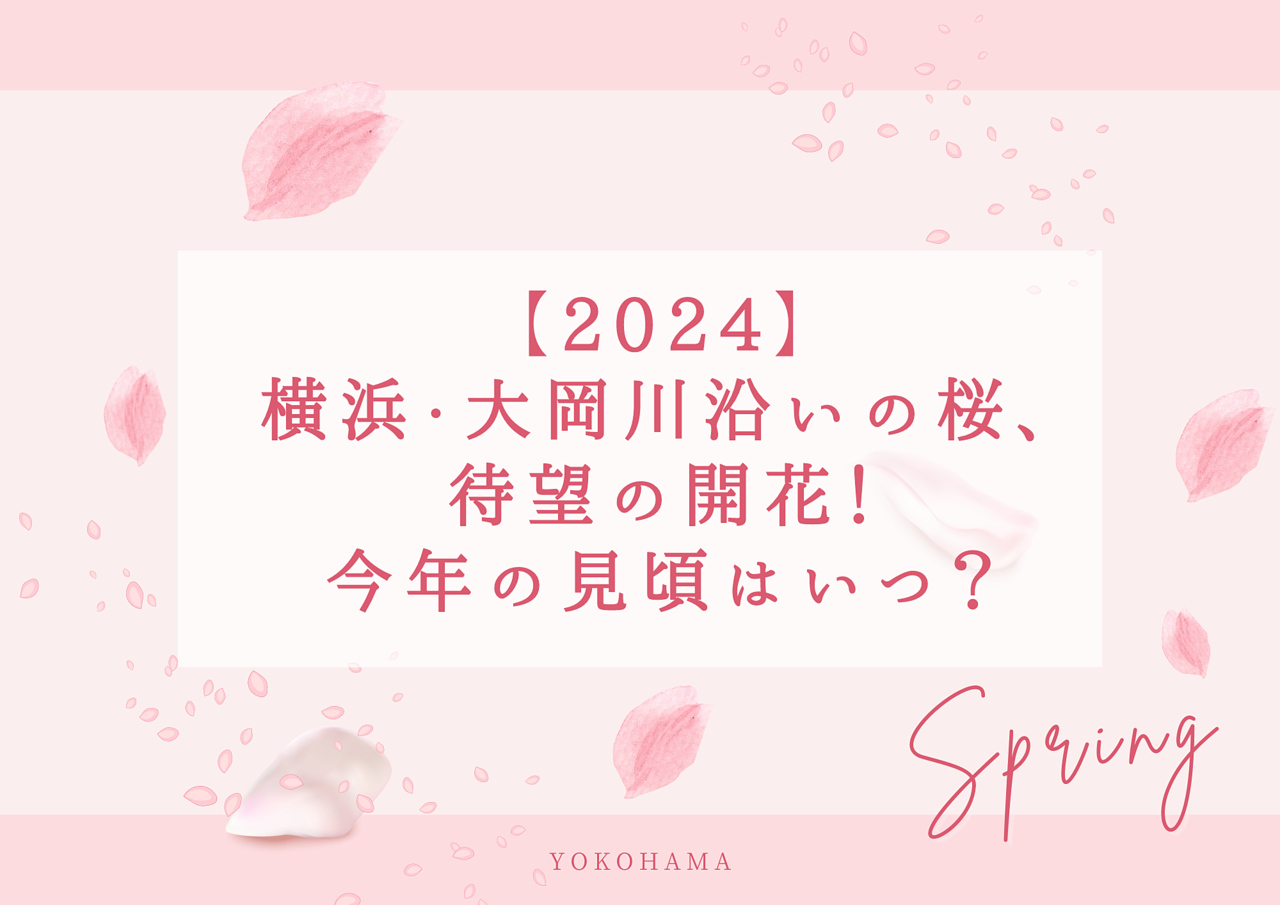 【2024】横浜・大岡川沿いの桜、待望の開花！今年の見頃はいつ？