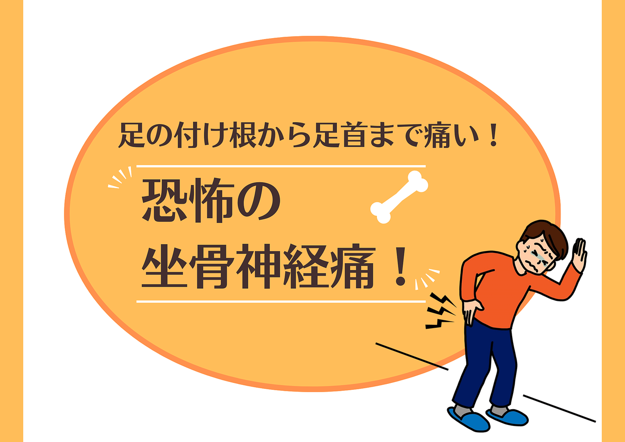 足の付け根から足首まで痛い！恐怖の坐骨神経痛！