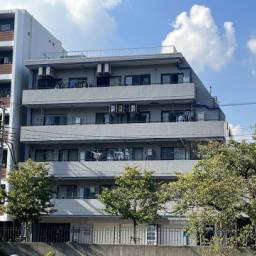 大岡川沿いの桜並木に建つ１棟マンション