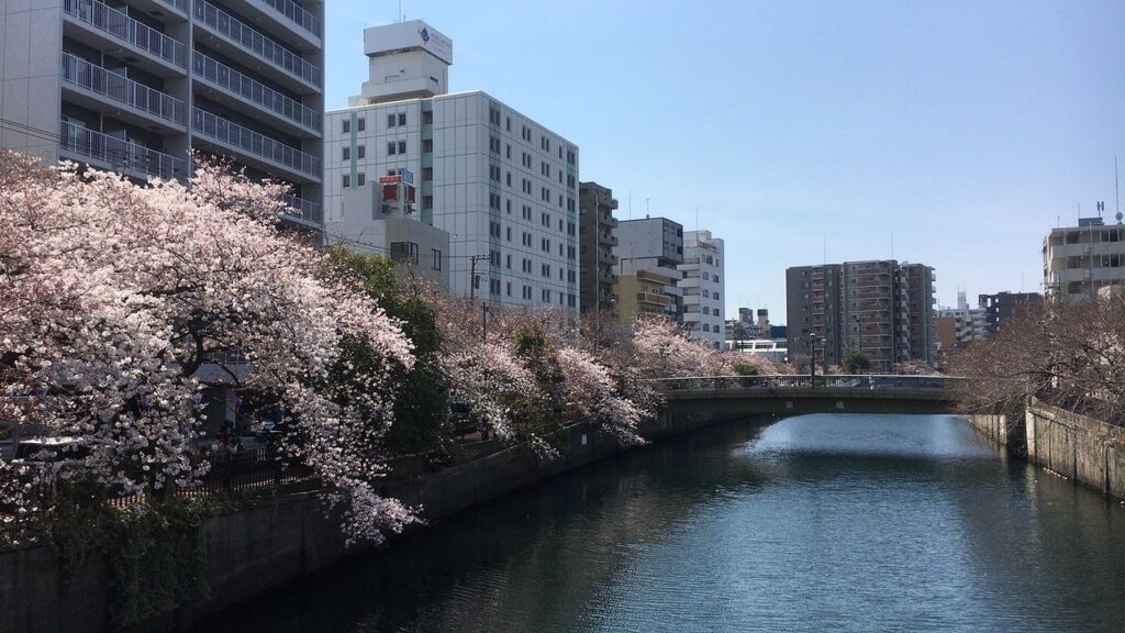 大岡川