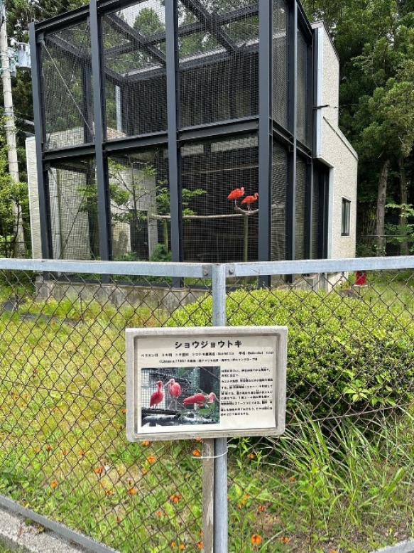 トキの森公園