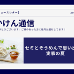 セミとそうめんで思い出す、実家の夏