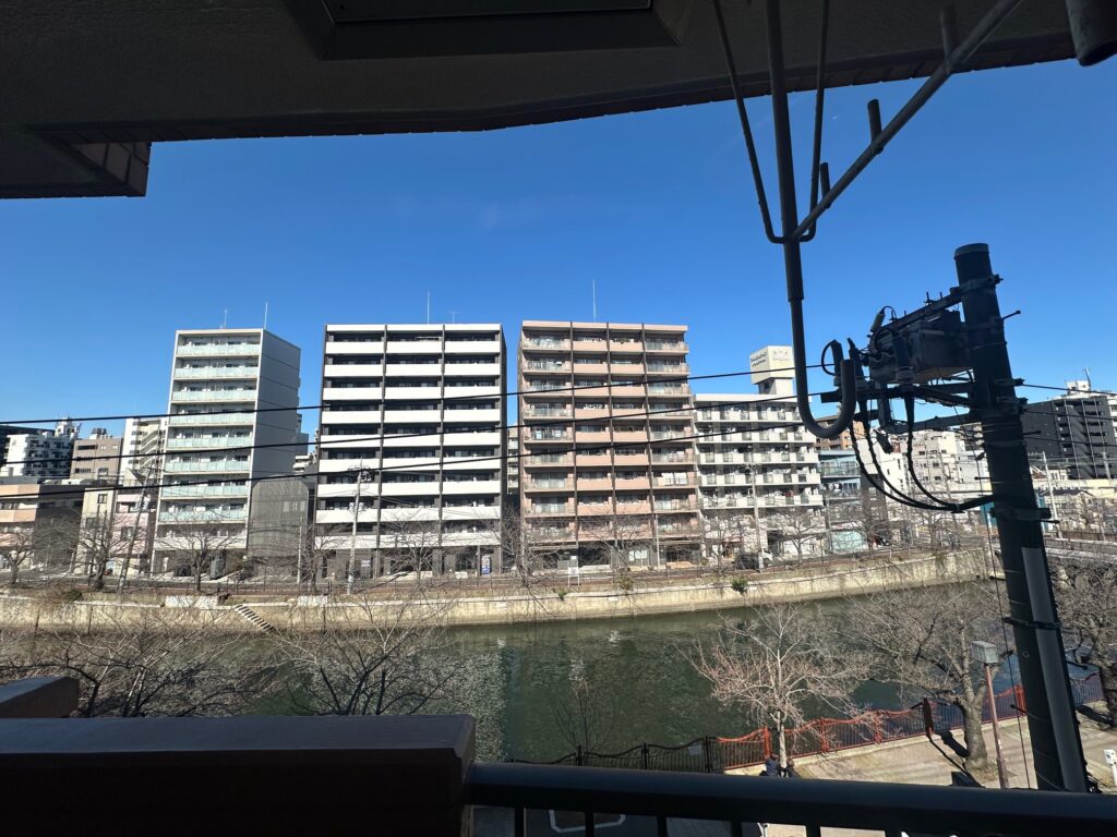 春には満開の桜がキレイです！