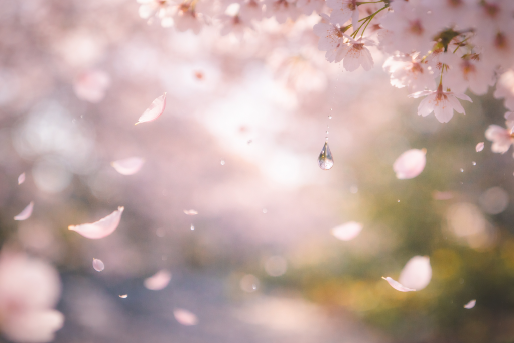 横浜の春、花粉なのか…感動なのか…涙目の季節