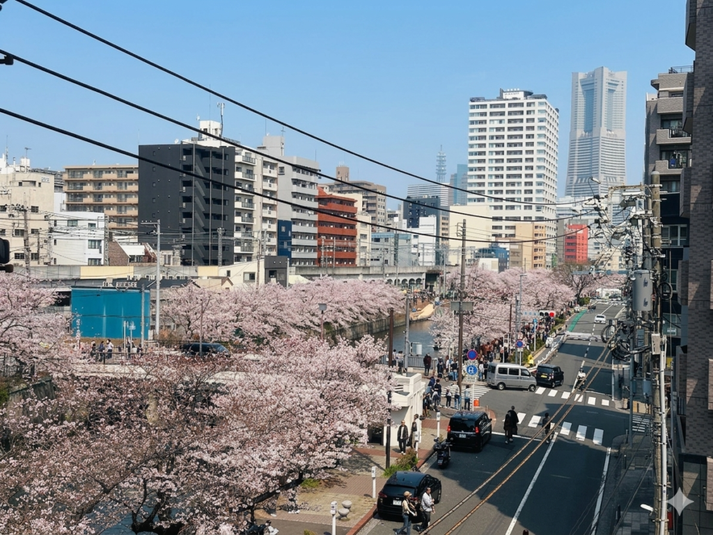 桜シーズンのバルコニーから見た右側