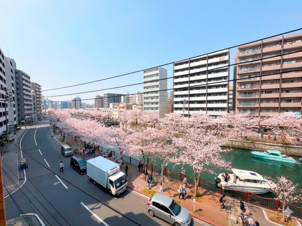 桜シーズンのバルコニーから見た左側