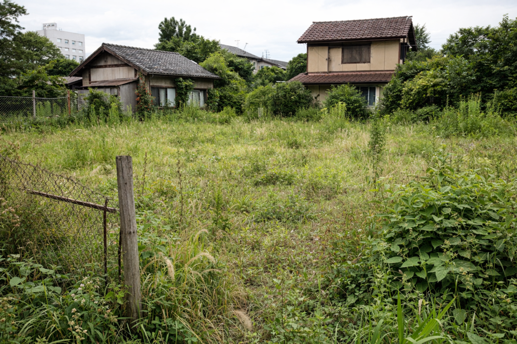廃墟と草に覆われた土地