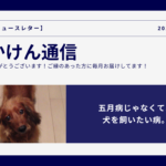 五月病じゃなくて、犬を買いたい病のアイキャッチ画像
