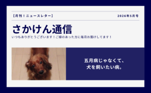 五月病じゃなくて、犬を買いたい病のアイキャッチ画像