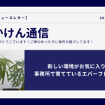 新しい環境がお気に入り！事務所で育てているエバーフレッシュ（アイキャッチ画像）