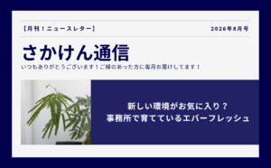 新しい環境がお気に入り！事務所で育てているエバーフレッシュ（アイキャッチ画像）